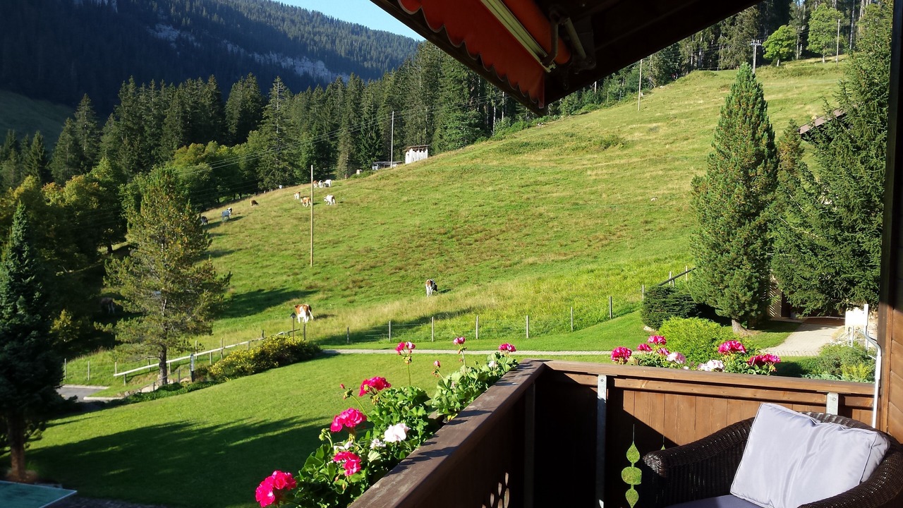 Photo of Outdoor in Central Interlaken