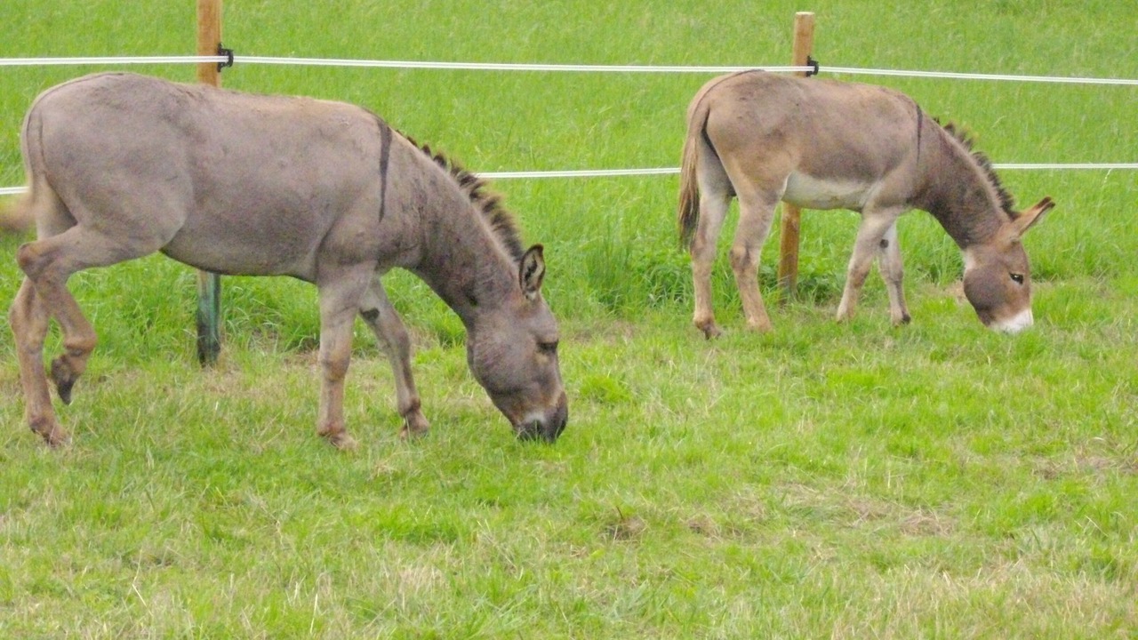 Photo of Outdoor in Le Segur