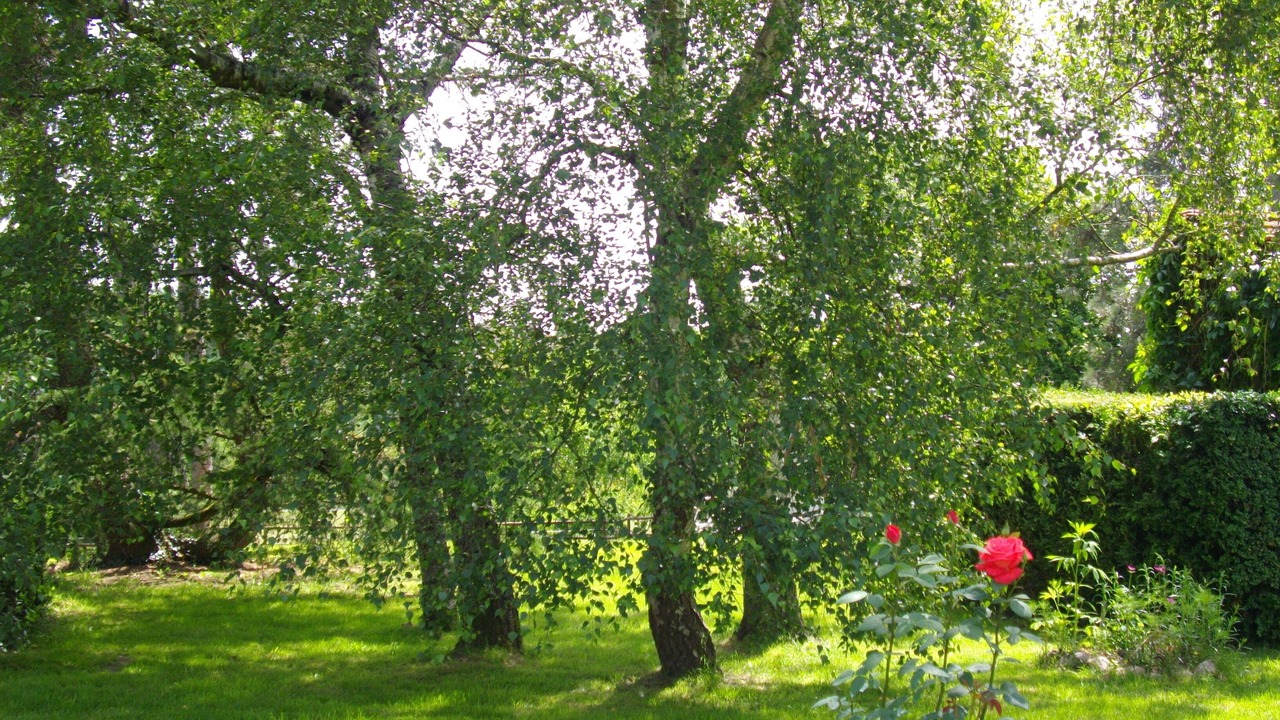 Photo of Outdoor in Le Segur