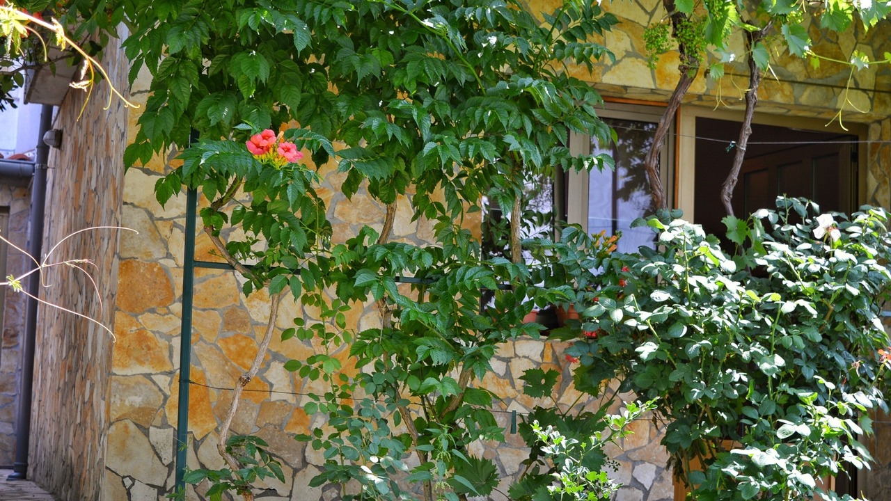 Photo of Outdoor in Smrika