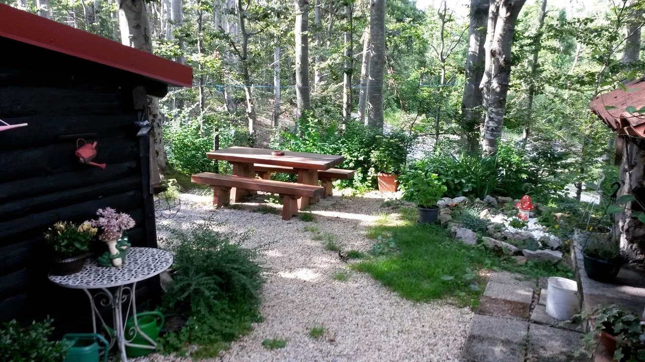 Photo of Outdoor in Lokve