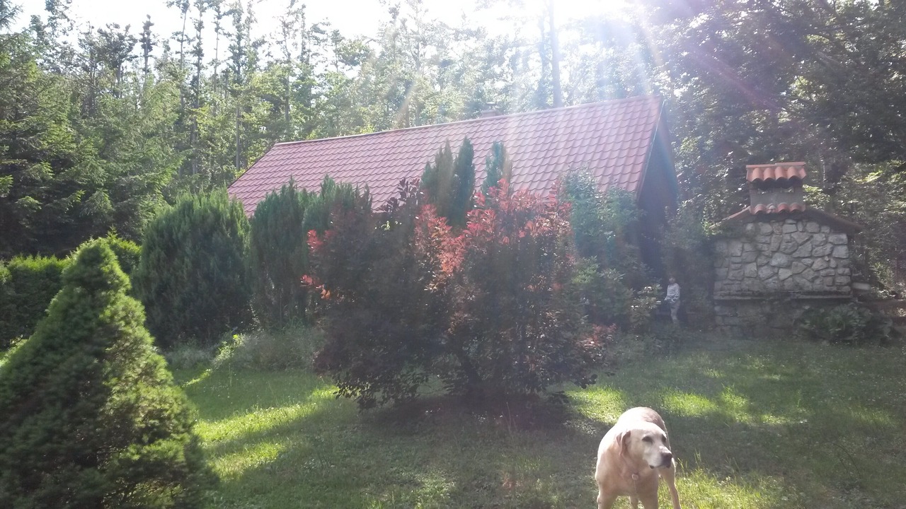 Photo of Outdoor in Lokve