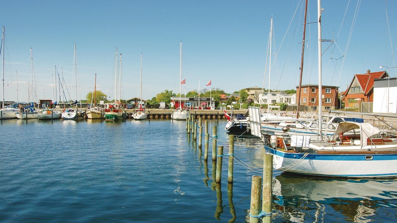 Photo of Others in Stege