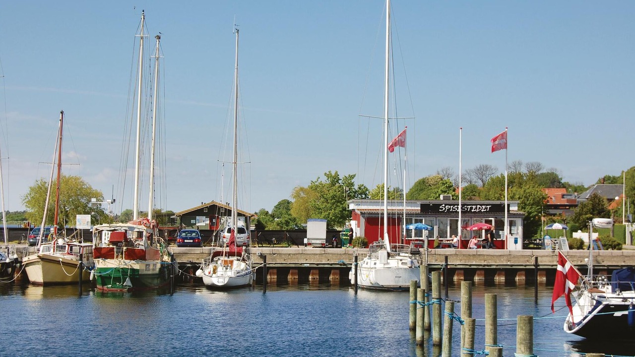 Photo of Others in Stege