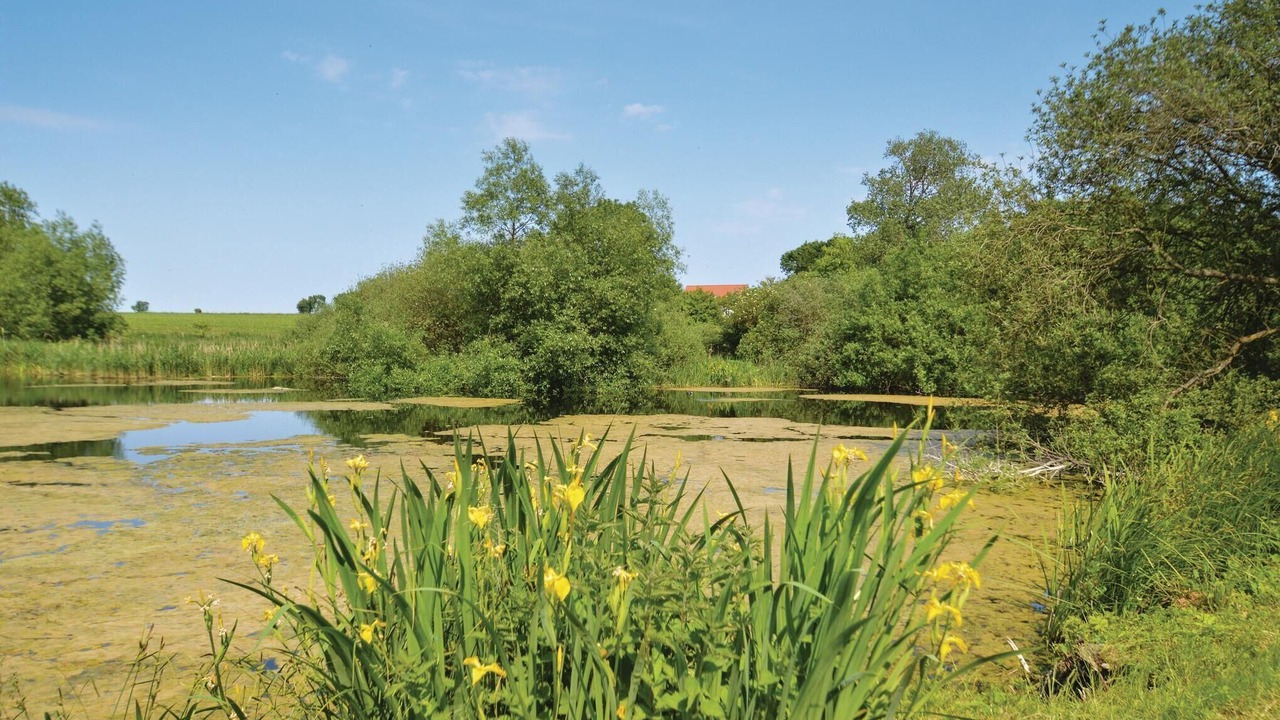 Photo of Others in Stege