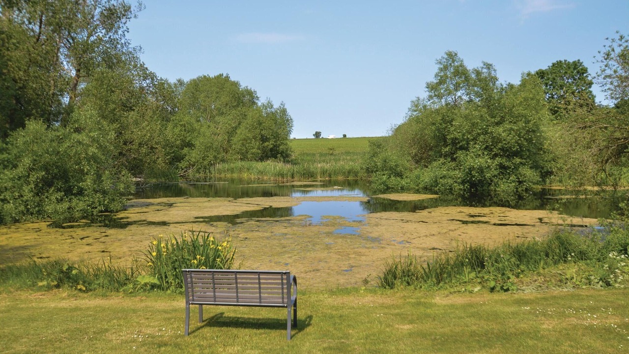 Photo of Others in Stege