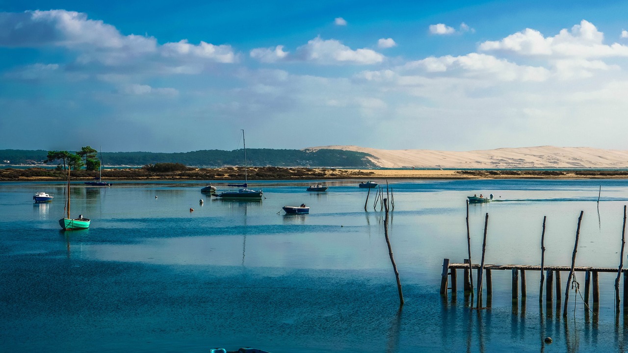 Photo of Outdoor in Talence