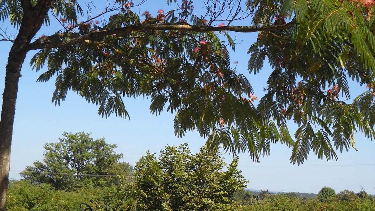 Photo of Outdoor in Lessac