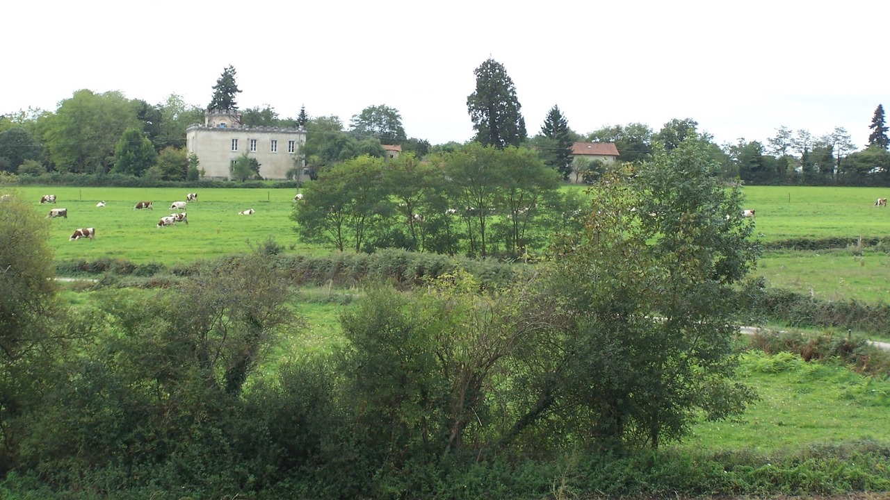 Photo of Outdoor in Lessac