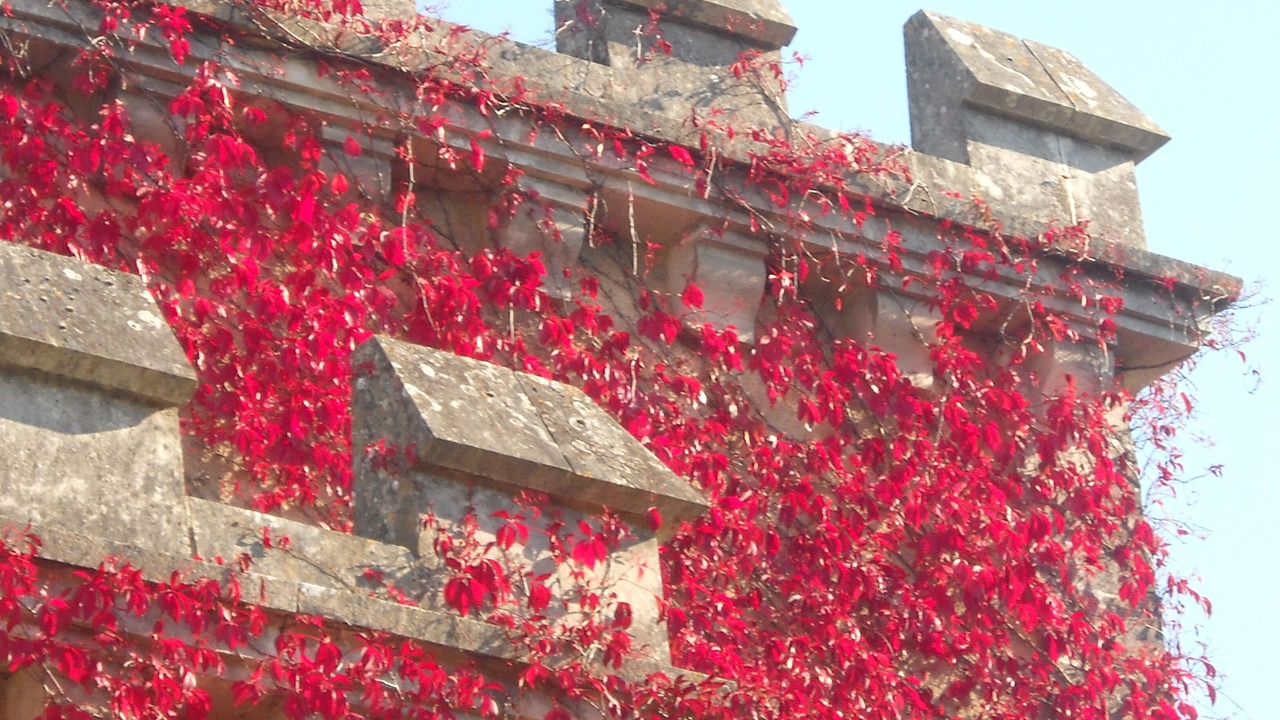 Photo of Outdoor in Lessac