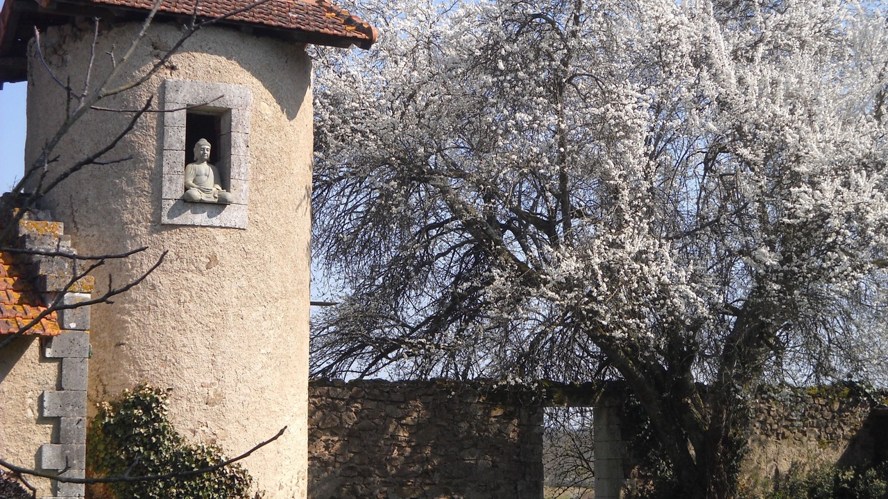 Photo of Outdoor in Lessac