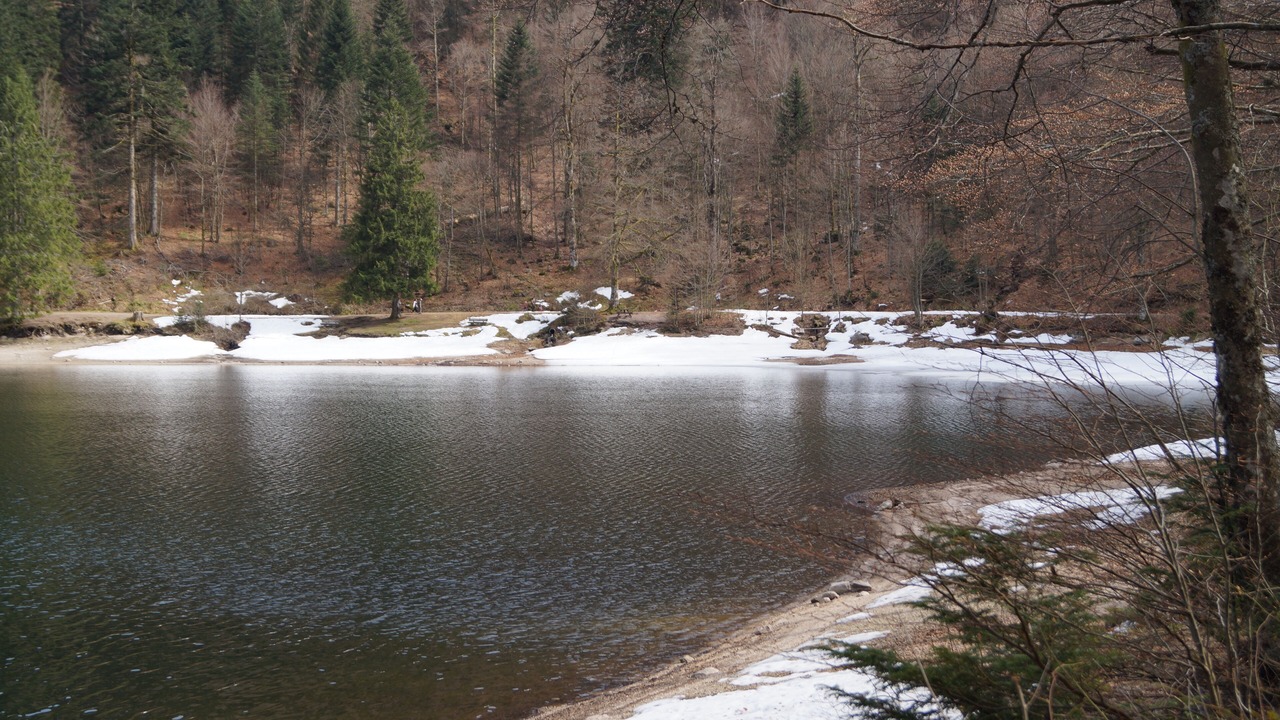 Photo of Others in La Bresse