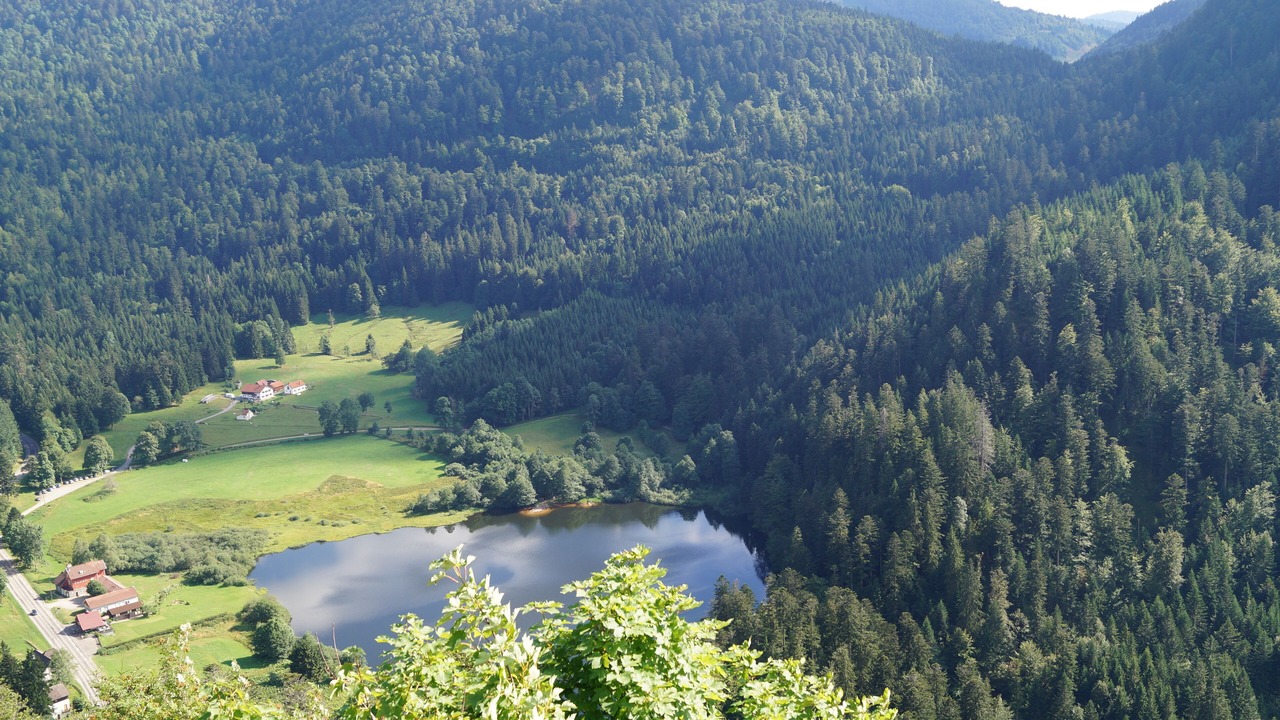 Photo of Outdoor in La Bresse