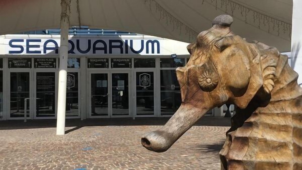 Photo of Others in Le Grau-Du-Roi