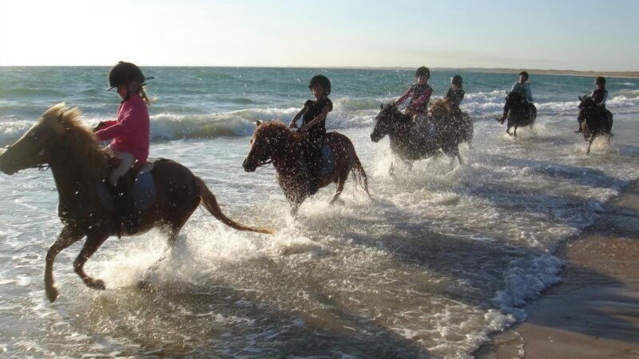 Photo of Others in Le Grau-Du-Roi
