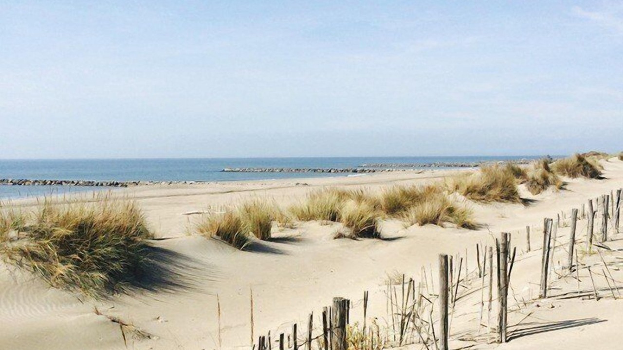 Photo of Others in Le Grau-Du-Roi