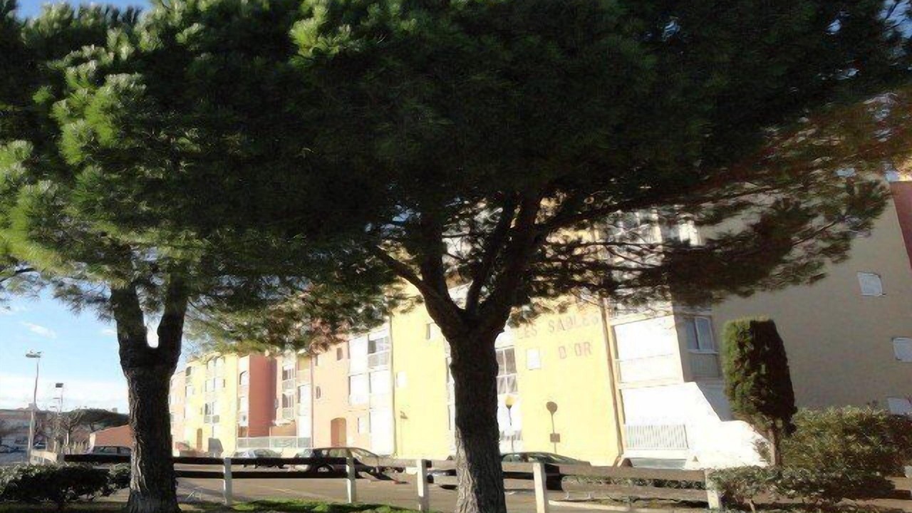 Photo of Others in Le Grau-Du-Roi