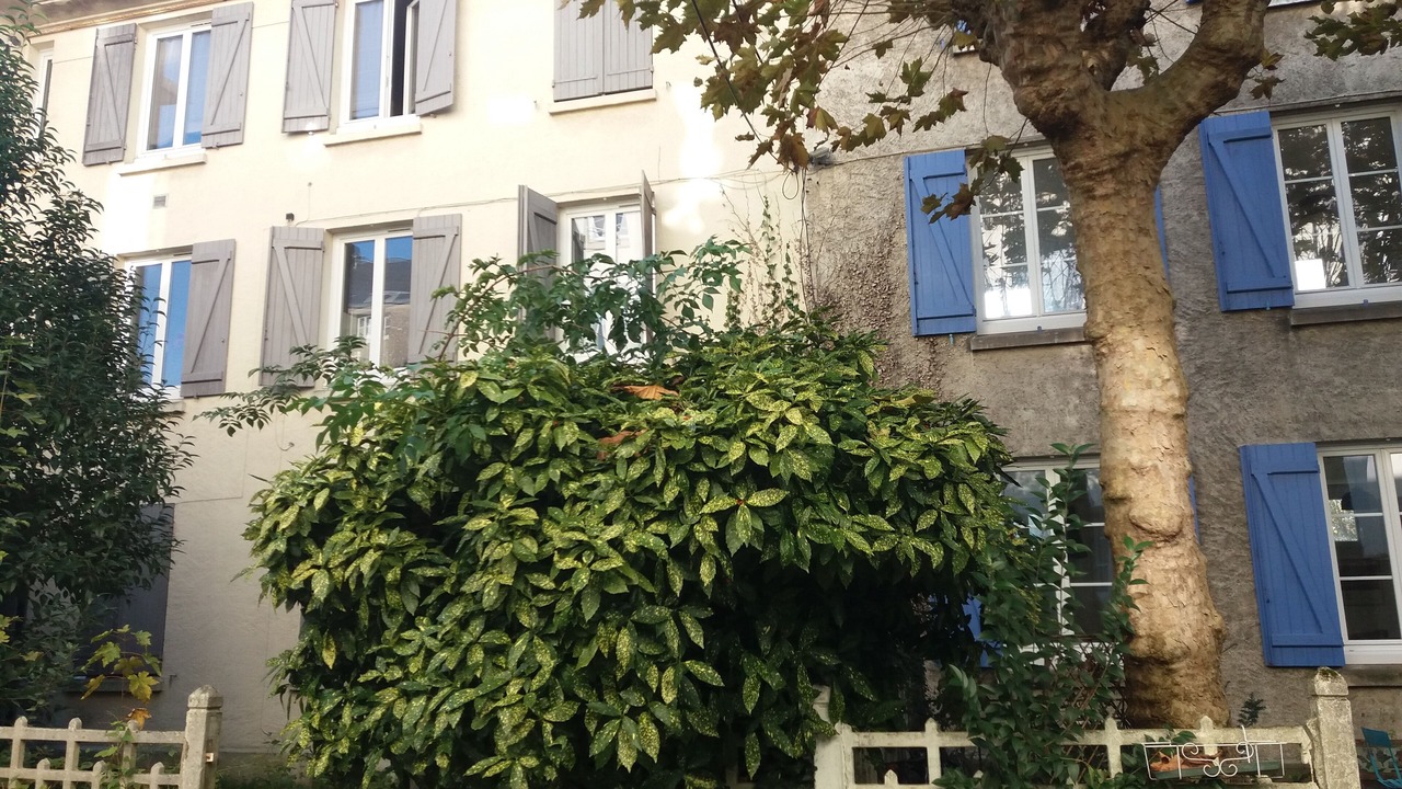 Photo of Outdoor in Mellinet