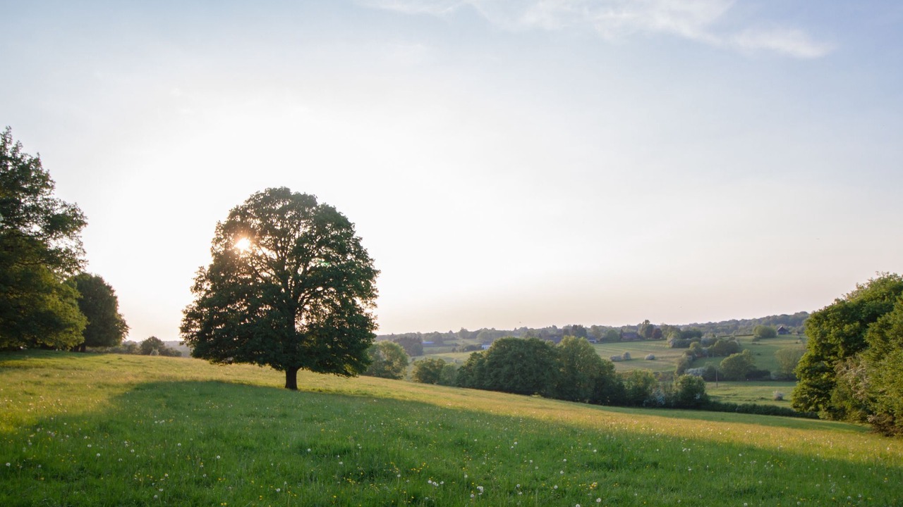 Photo of Others in La Neuville-aux-Joutes
