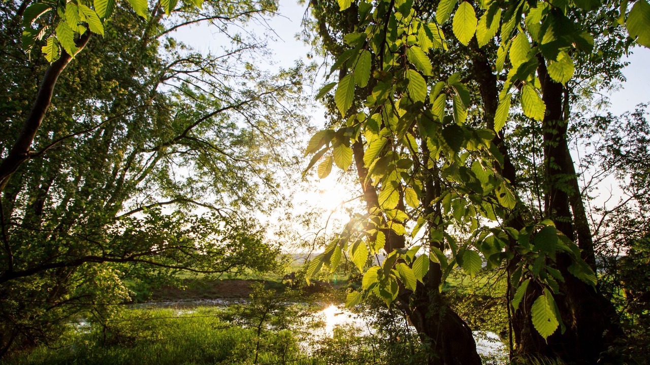 Photo of Others in La Neuville-aux-Joutes