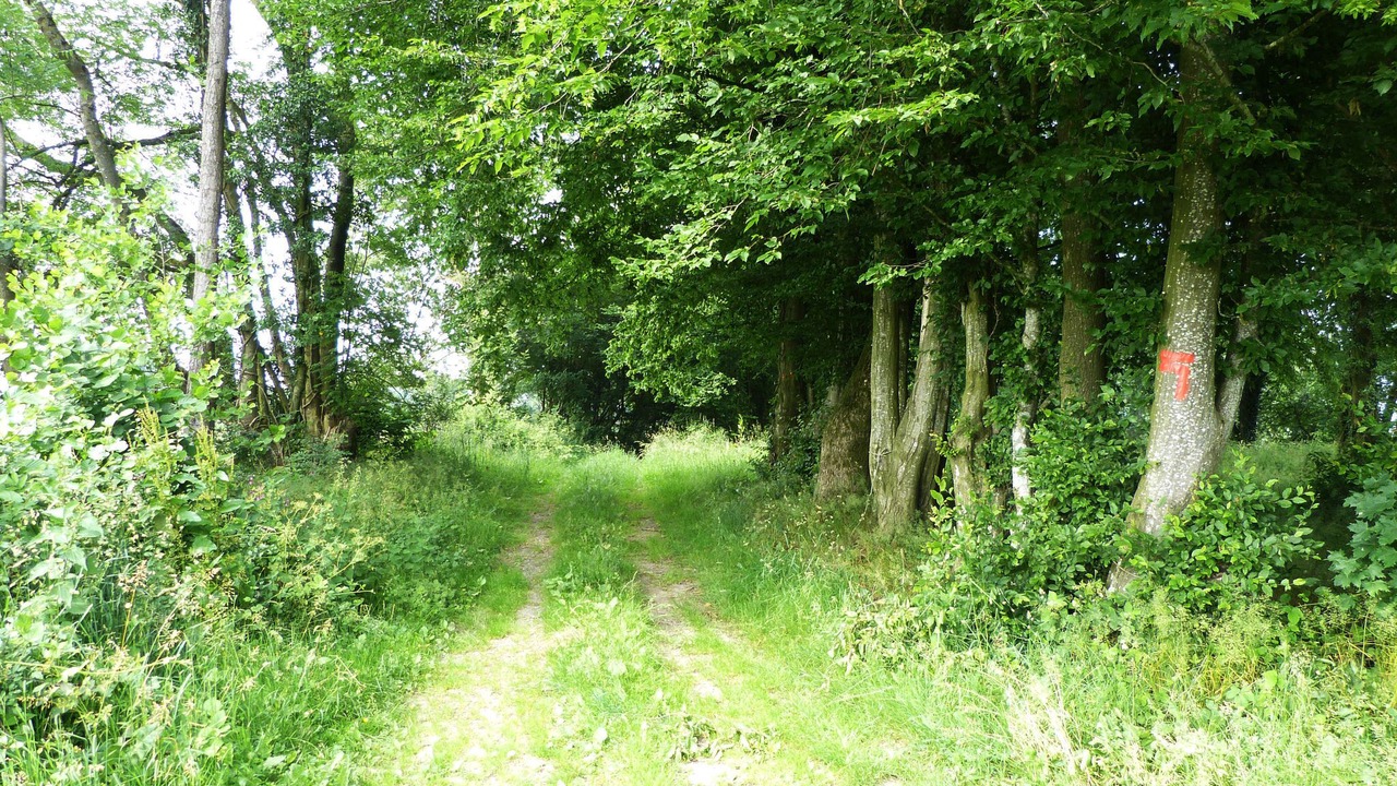 Photo of Others in La Neuville-aux-Joutes