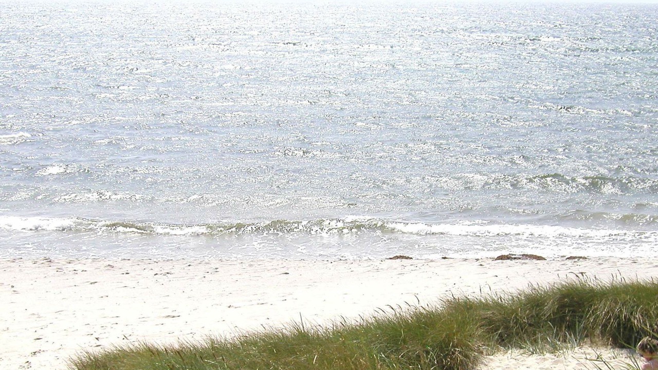 Photo of Others in Sømarken