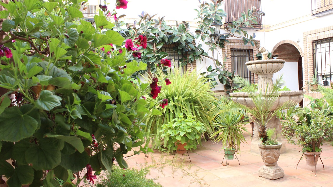 Photo of Outdoor in San Andres-San Pablo
