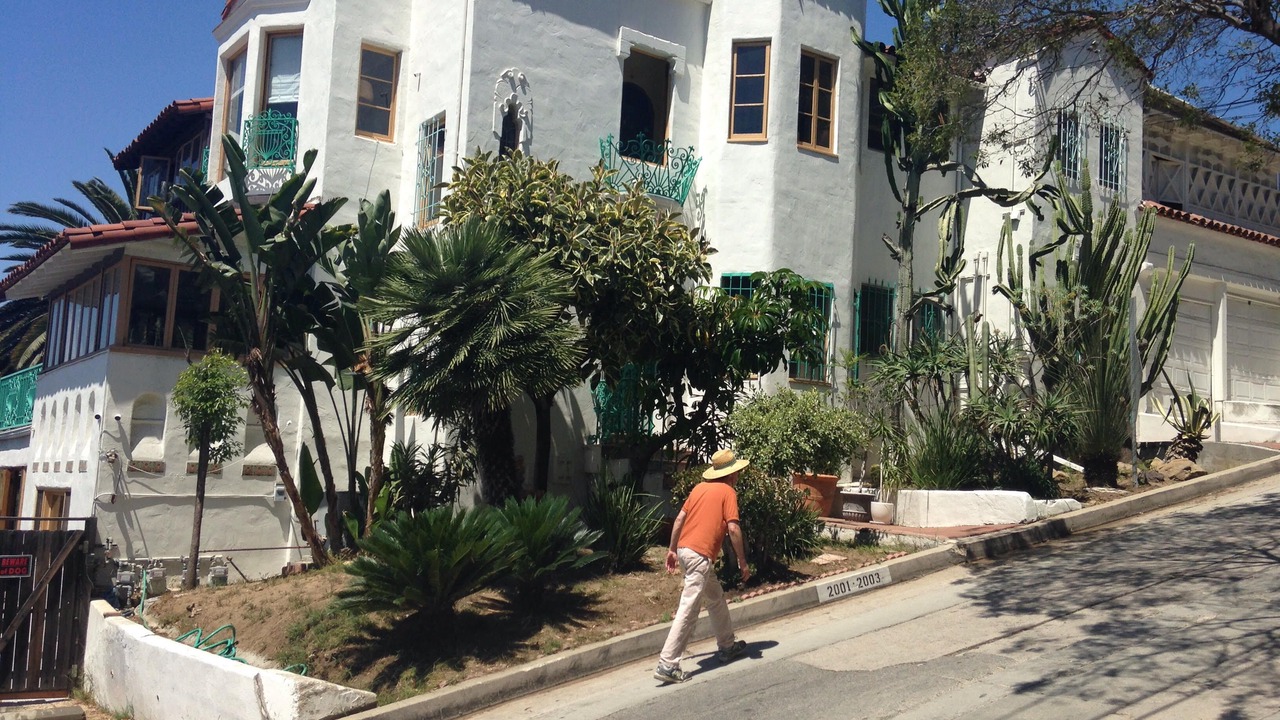 Photo of Outdoor in Hollywood Heights
