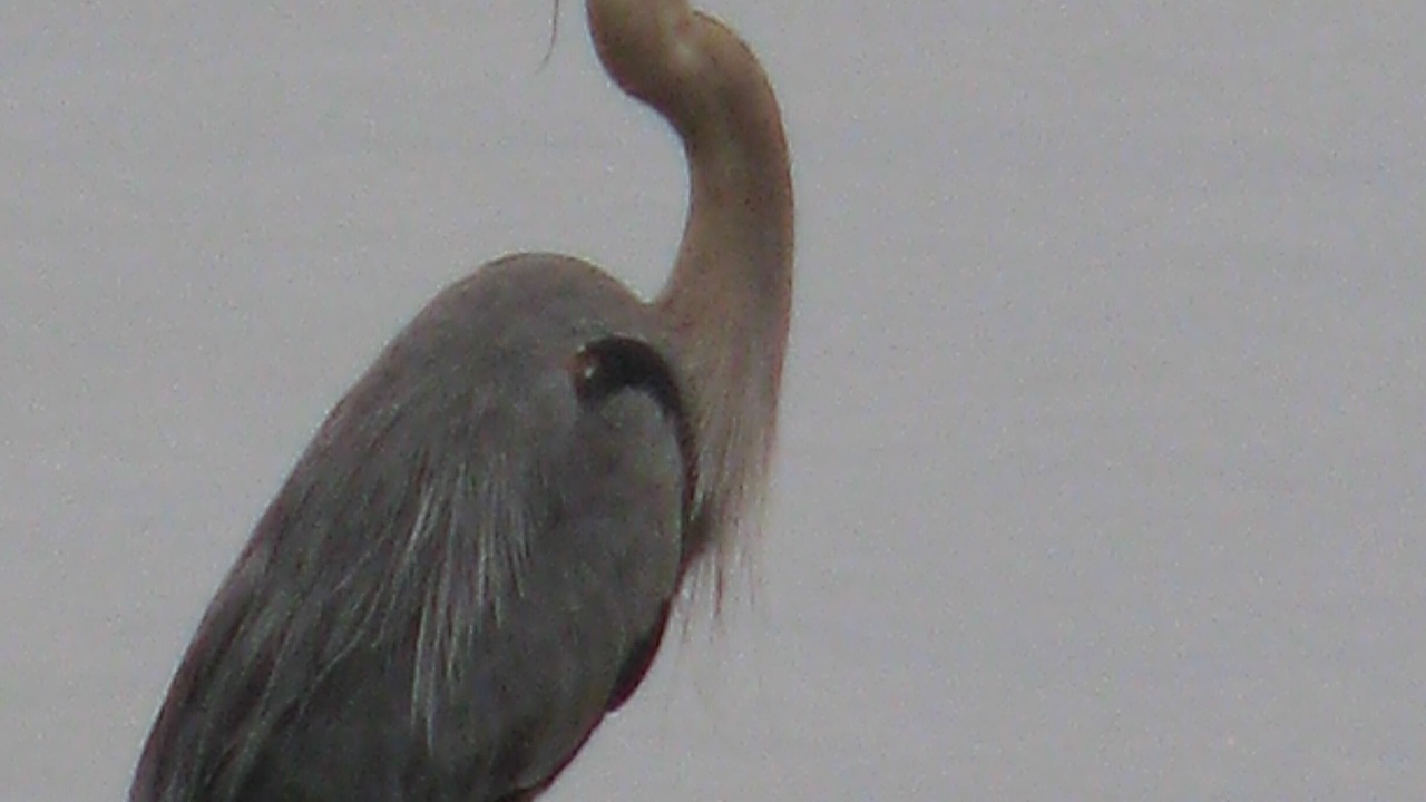 Photo of Others in Frontenac