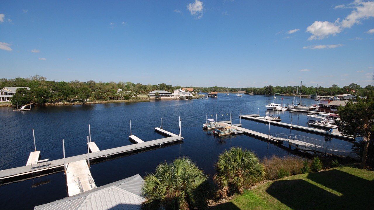 Photo of Others in Steinhatchee