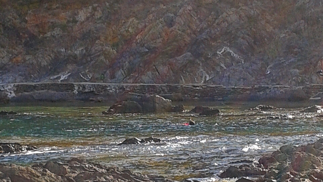 Photo of Others in Collioure