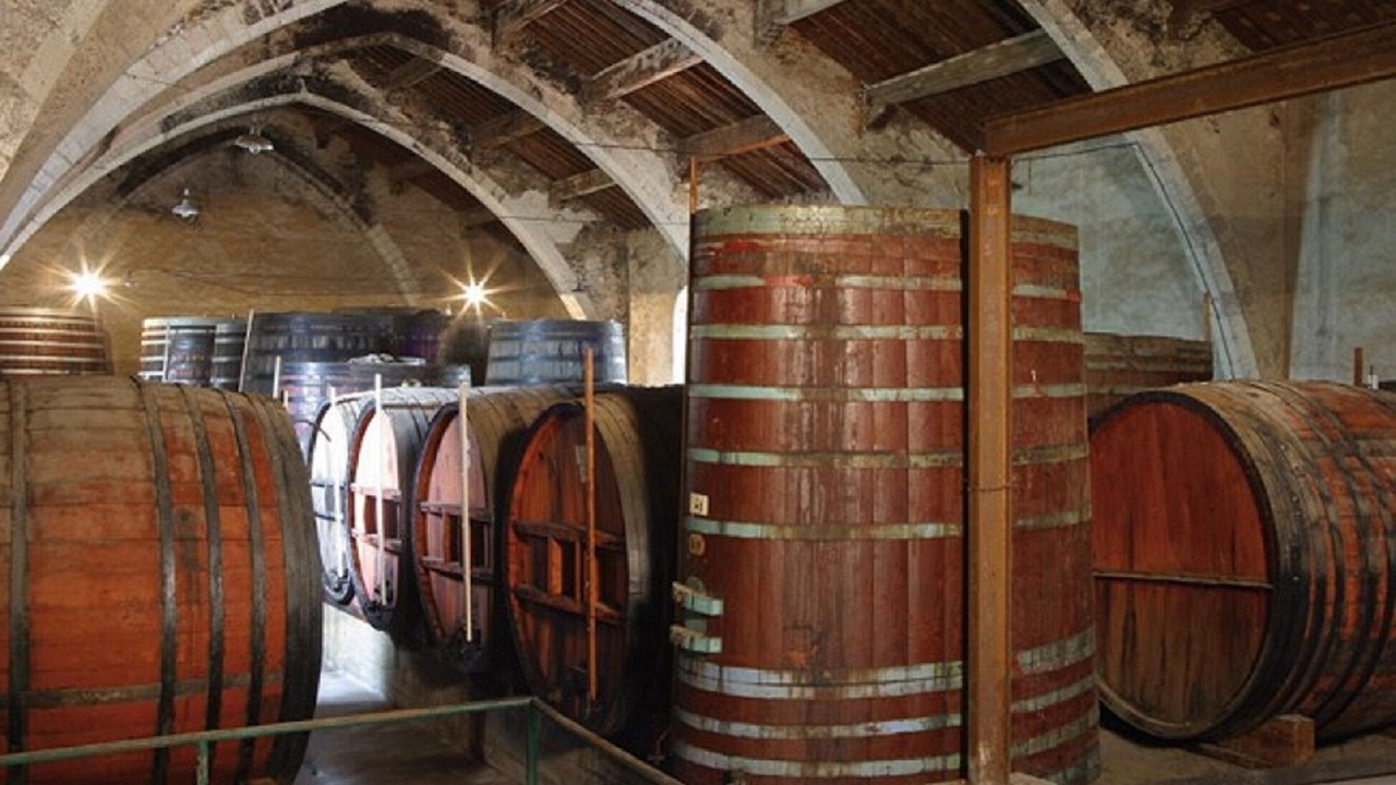 Photo of Others in Collioure