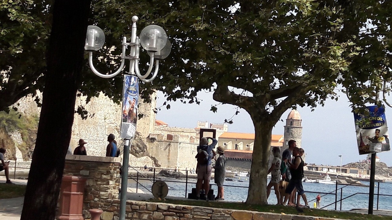 Photo of Others in Collioure