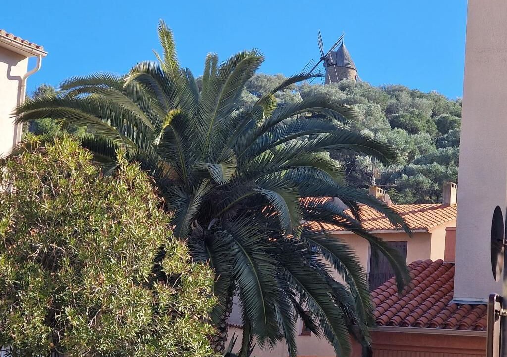 Photo of Others in Collioure