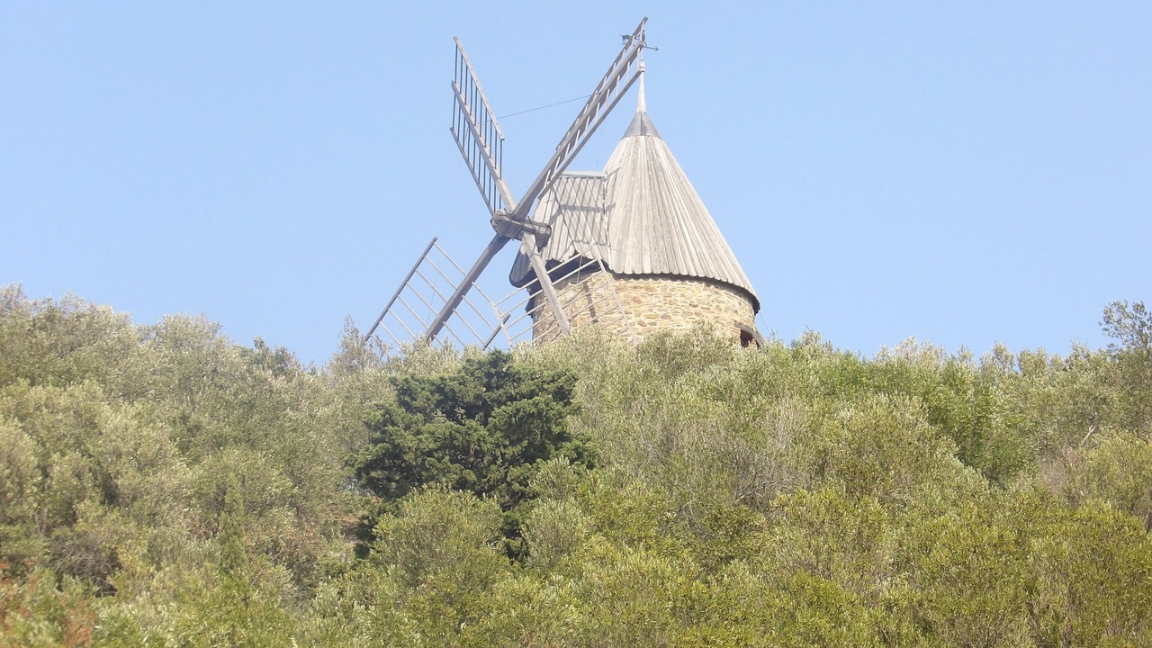 Photo of Others in Collioure