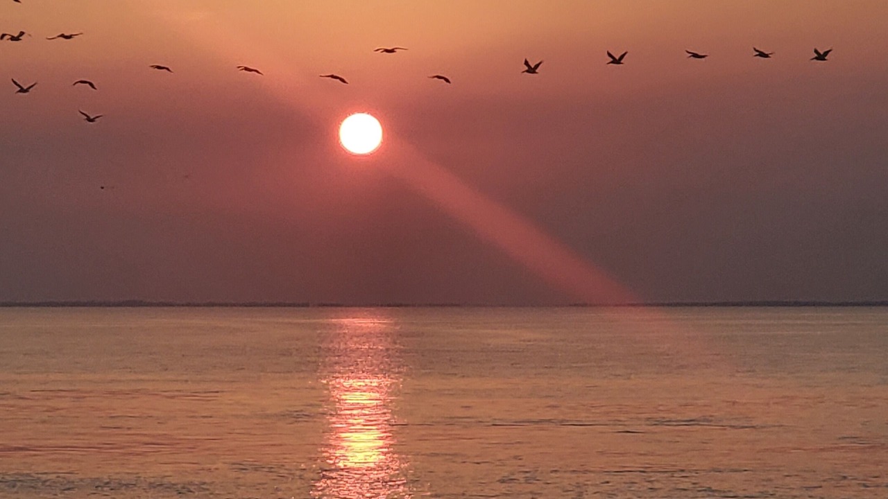 Photo of Others in Crystal Beach