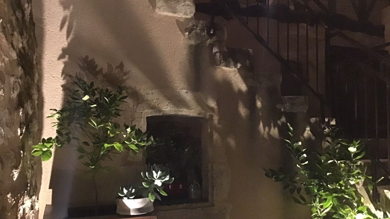 Photo of Outdoor in Lavardens