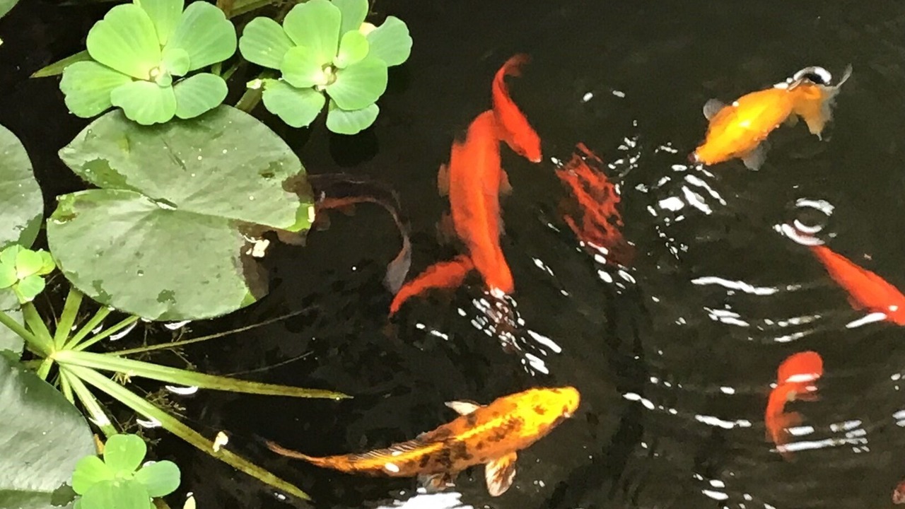Photo of Others in Lavardens
