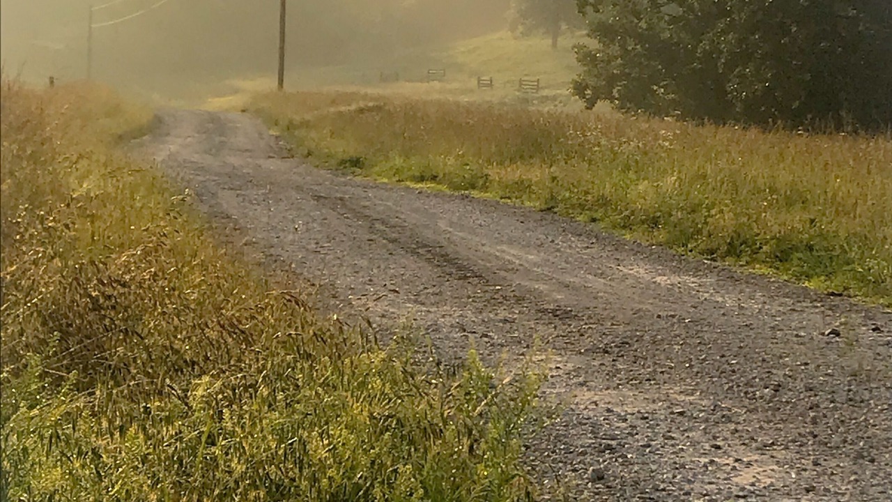 Photo of Others in Steelville