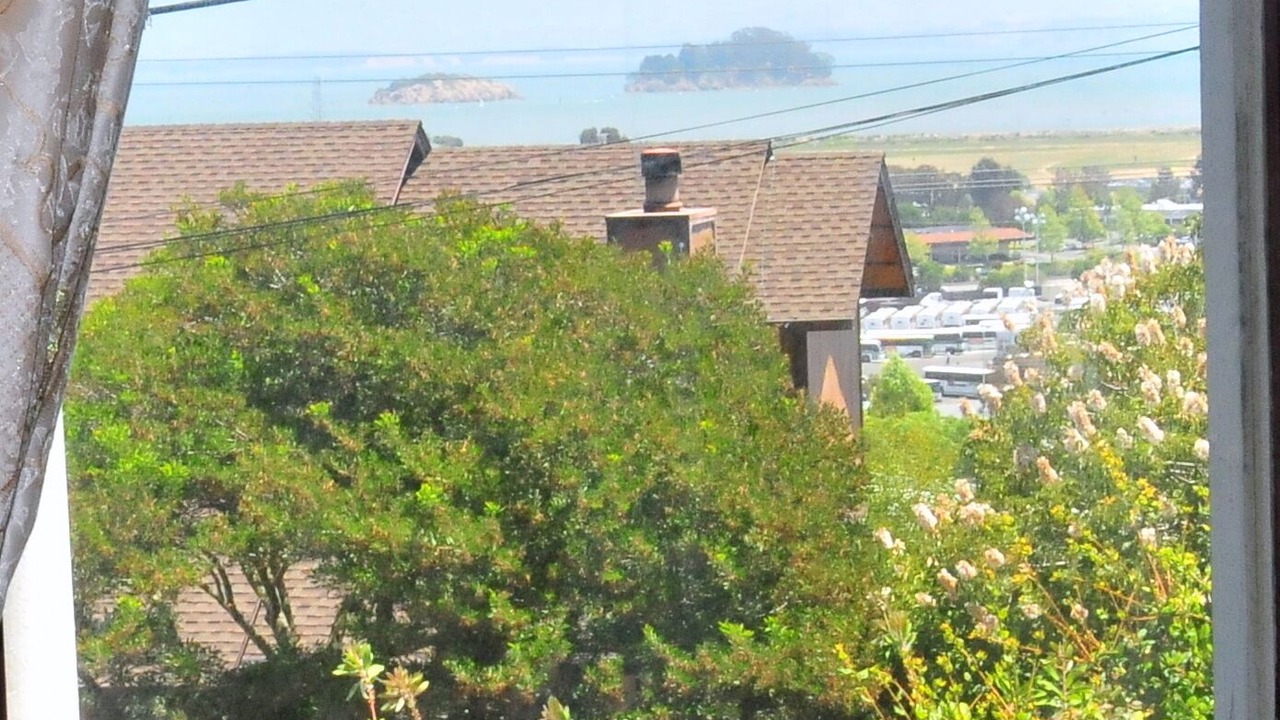 Photo of Others in San Rafael