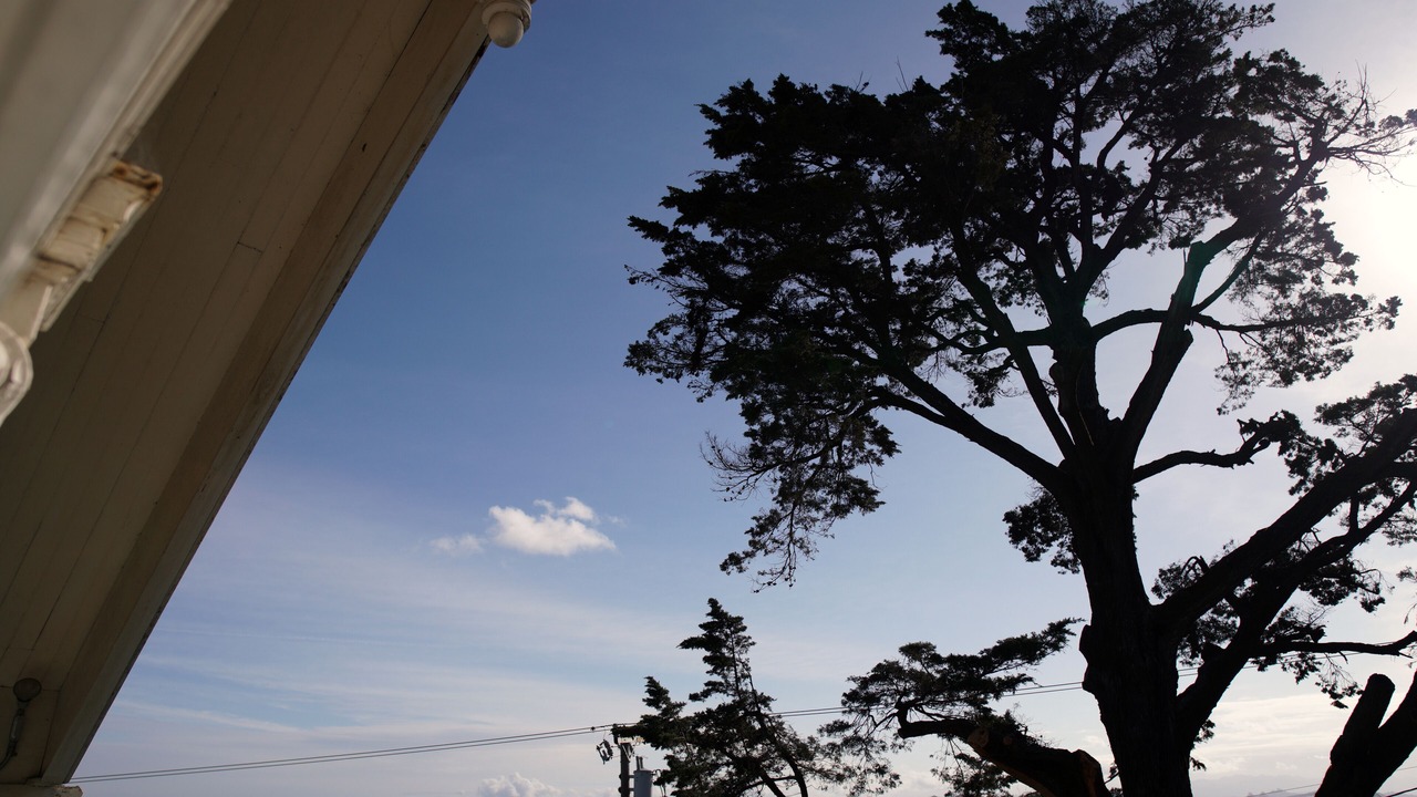 Photo of Others in San Rafael