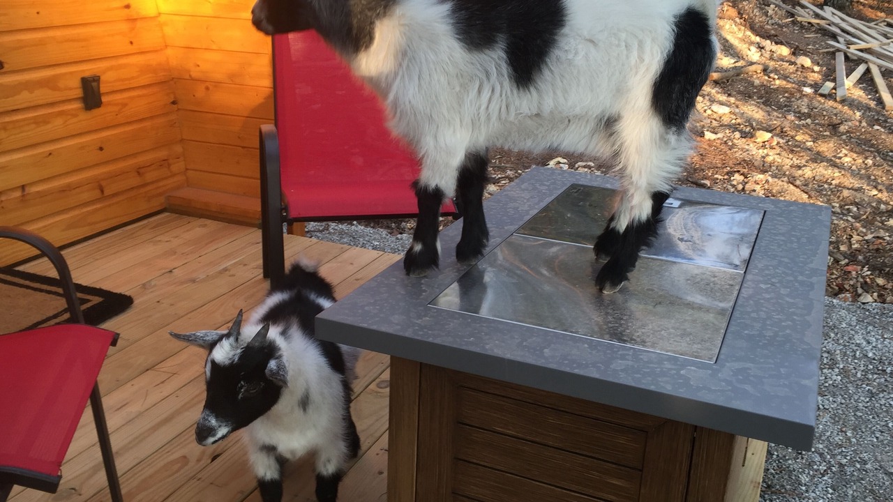 Photo of Others in Eureka Springs