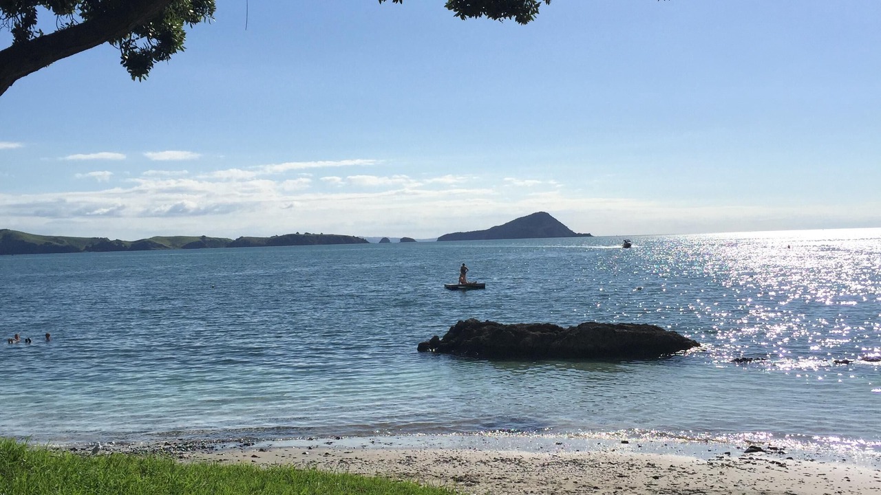 Photo of Others in Coromandel