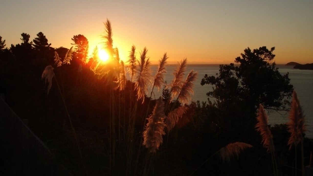 Photo of Others in Coromandel