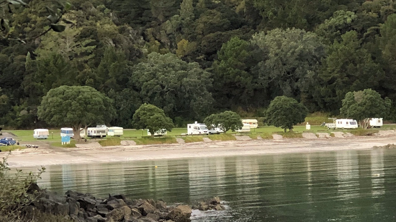 Photo of Others in Coromandel