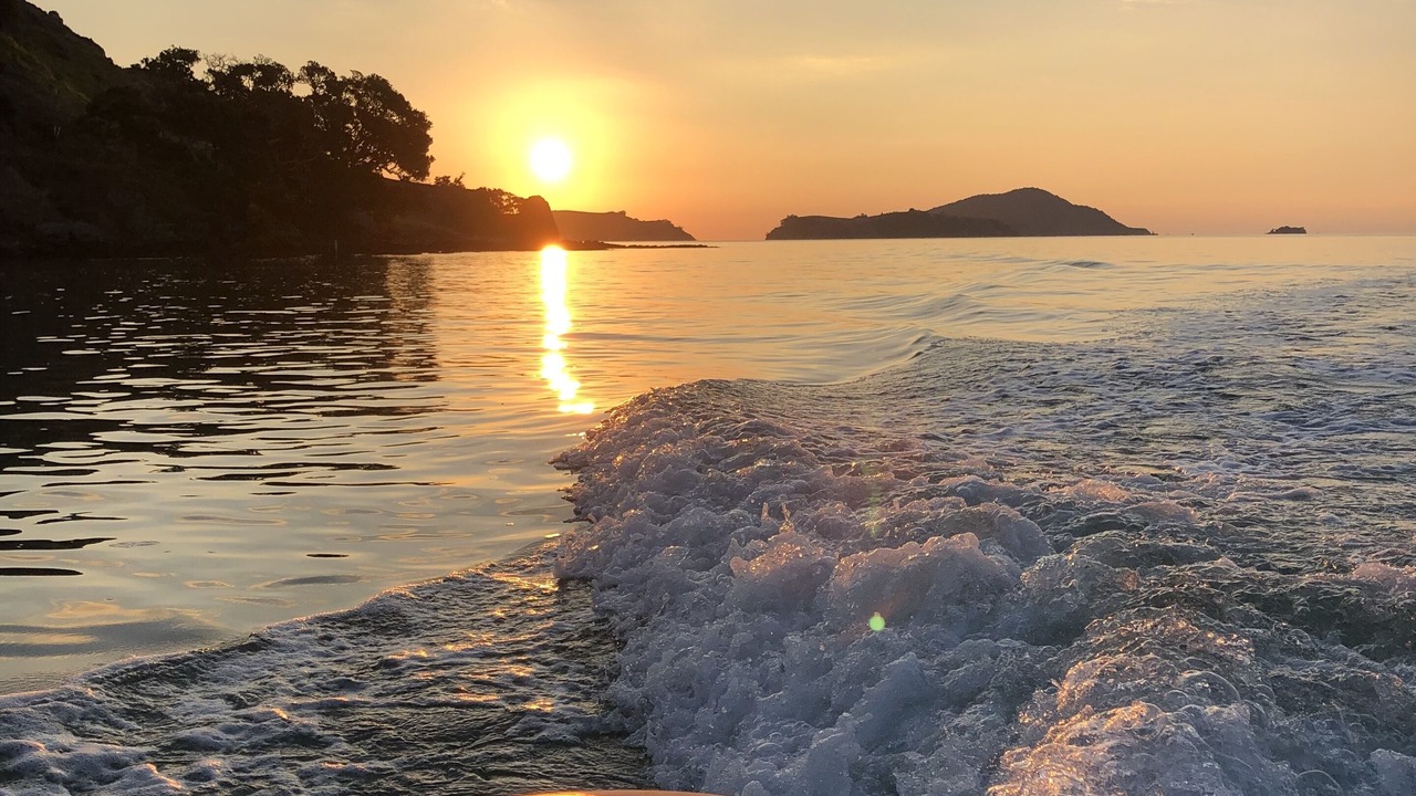 Photo of Others in Coromandel