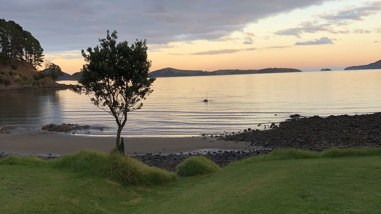 Photo of Others in Coromandel