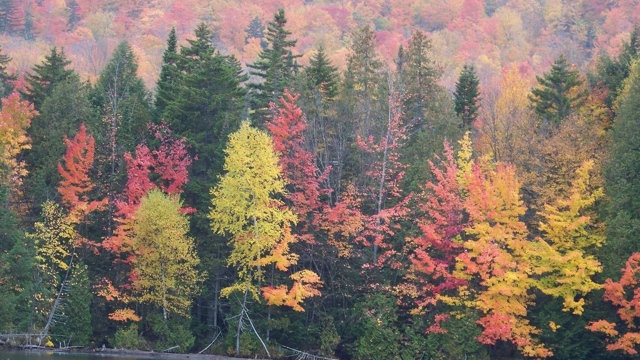 Photo of Others in Caratunk