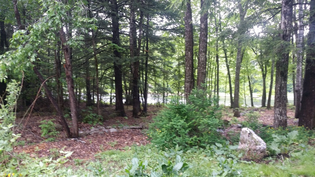 Photo of Outdoor in Caratunk