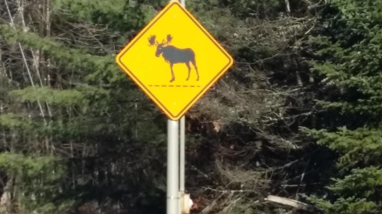 Photo of Others in Caratunk